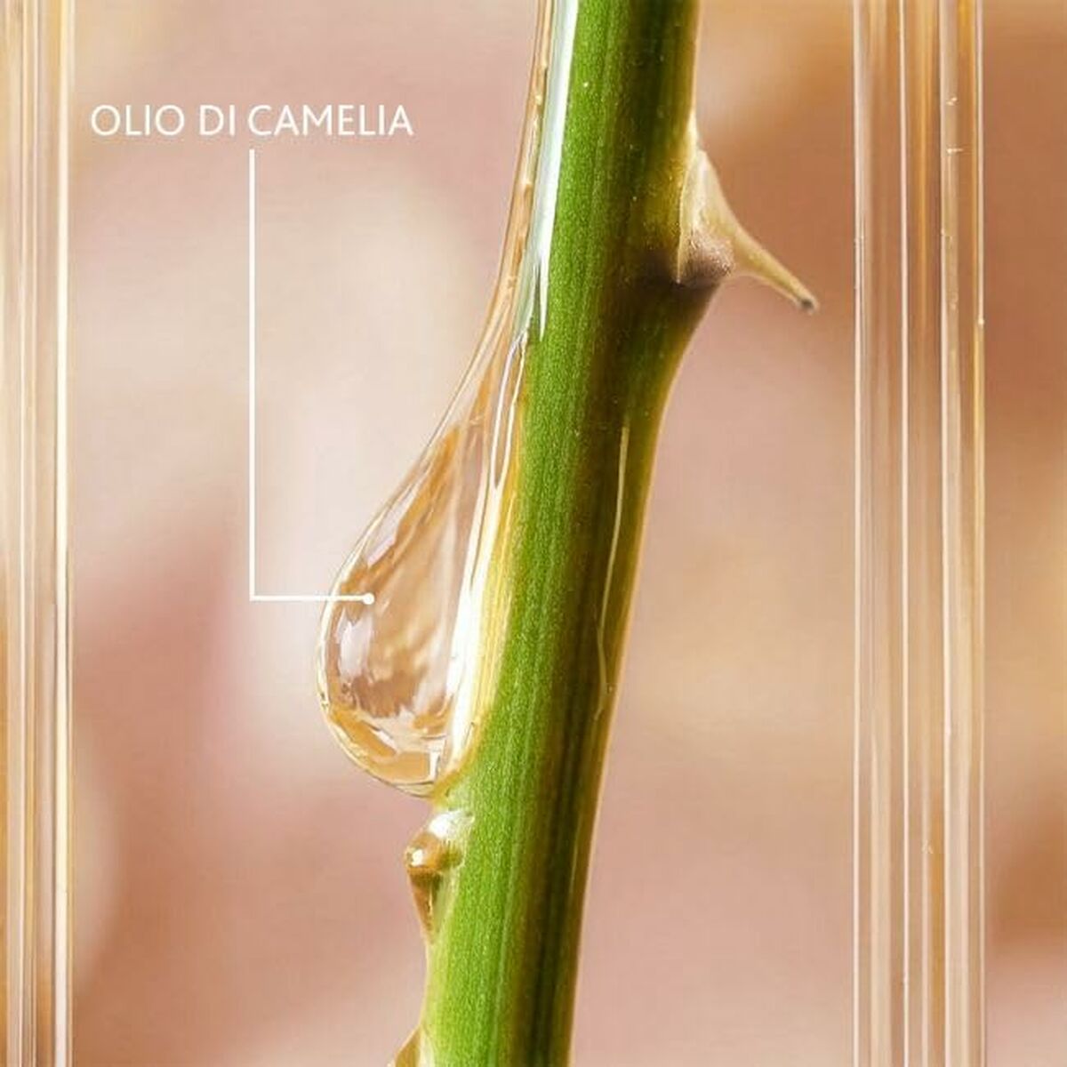 V3H85101D389947B8B428C66C68ED9659BBR5608847P2