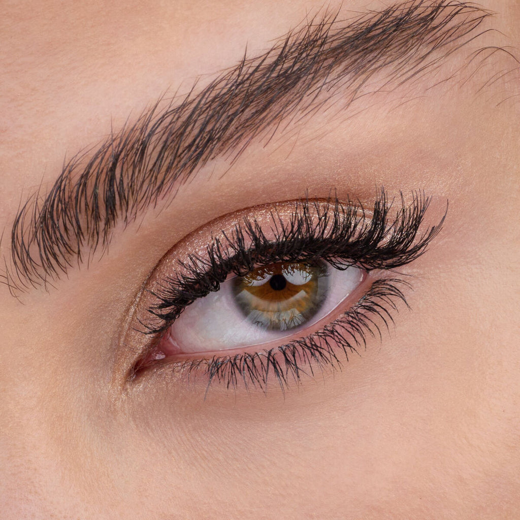 V6H67E9D0D8C1DCA077CEE8295403EA96ADR4326749P4