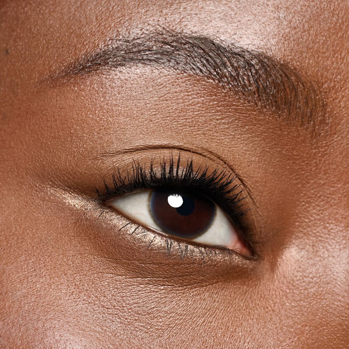 V2H4E0DC19F0C08C97769C96B27085FF341R7477373P10