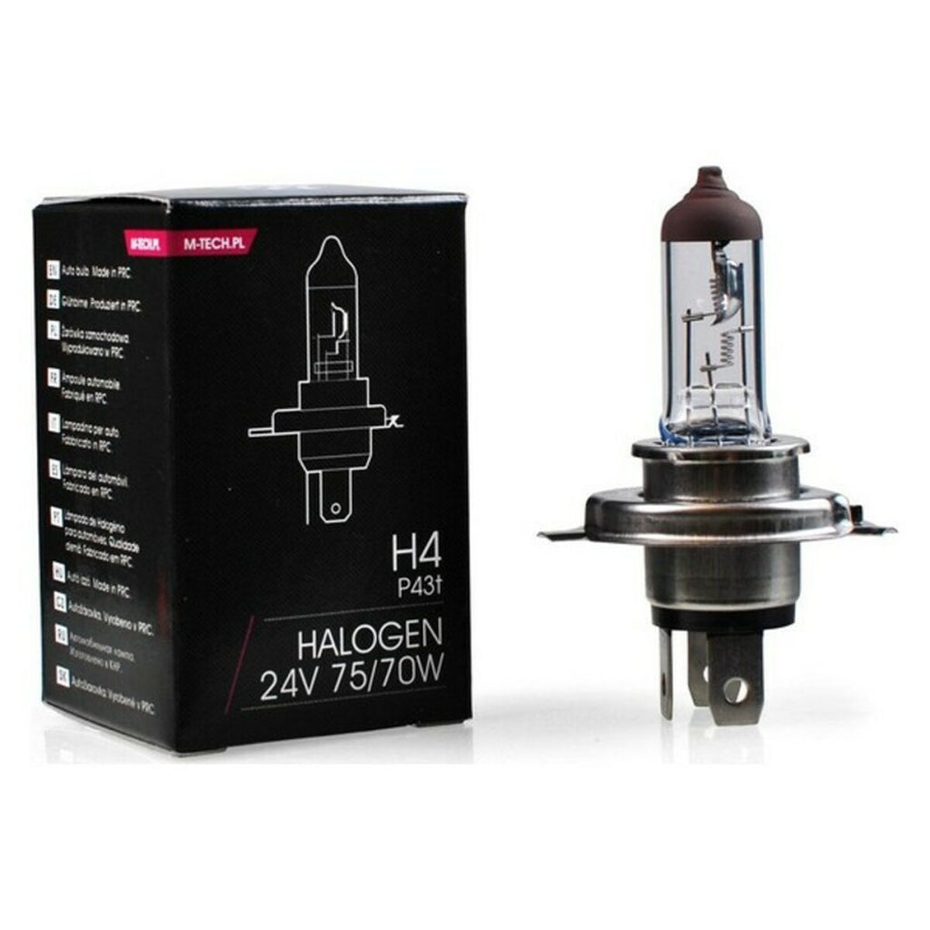 V10HEEA7FFFF8459B4DE54BB718C3795CC20R5573350P2