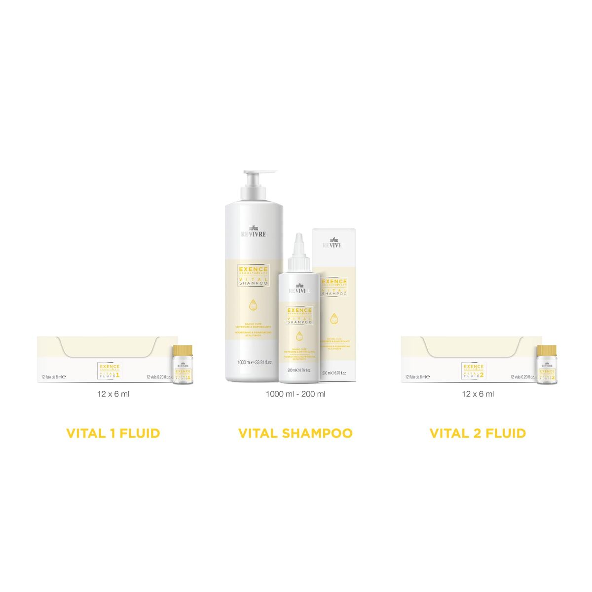 V2H769C9601BFB14B7E506E7C06F4CB1E67R7649583P2