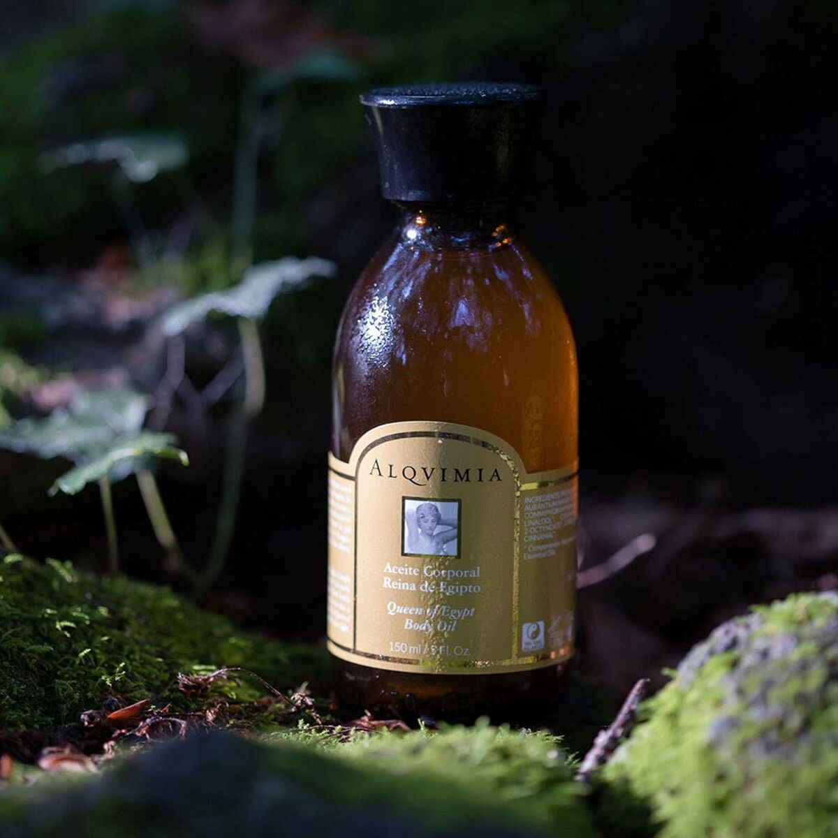 V2H5180BA4962E31E8F19300CA1E6E2BFC9R7181067P7