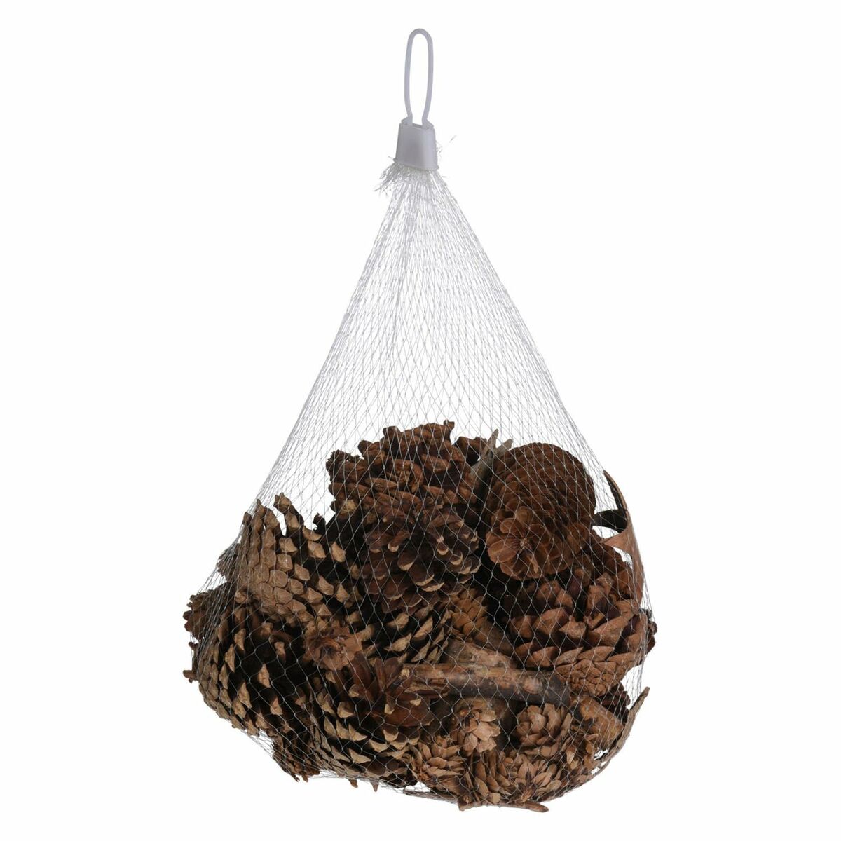 V3H99B21F15247159F5E0853BB411C6C13ER7469429P2